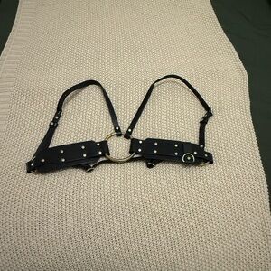 Black Leather Harness with Brass Accents